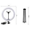 Professional Ring Light Kit with Tripod and Phone Holder