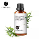 100ML Essential Oils for Diffuser Humidifier Aroma Oil Vanilla Eucalyptus Jasmine Rose Lavender Rosemary Peppermint Tea Tree  ourlum.com Eucalyptus 100ml CHINA