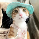 Cute Cat Dog Hat With Exposed Ears Summer Sun Hat