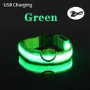 LED Dog Collar: Stay Visible & Safe at Night with USB Rechargeable Lights  ourlum.com Green USB Charging XS NECK 20-37 CM 