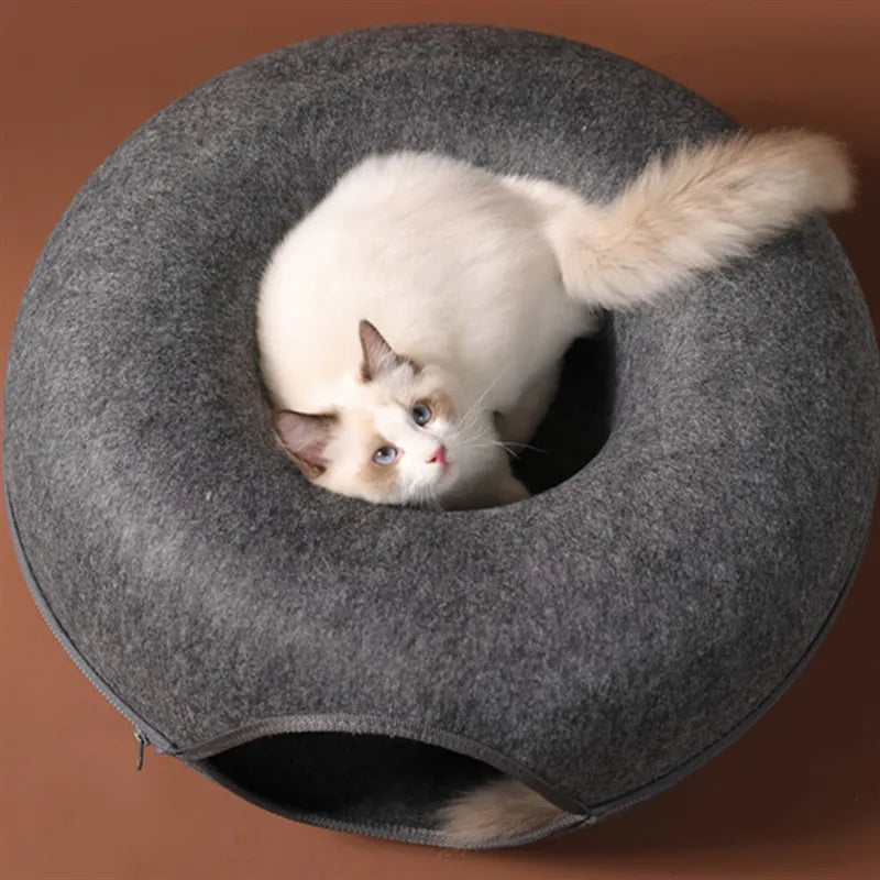 Donut Cat Bed Tunnel: Interactive Toy & Training House for Kittens  ourlum.com   