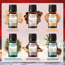 EUQEE Holiday Essential Oil Gift Set Festive Scents for Diffusers