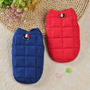 Winter Dog Coat Jacket for Small Dogs - Windproof & Padded Warmth  ourlum.com   