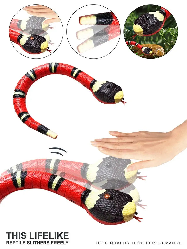 Smart Interactive Snake Teaser Toy for Cats and Dogs  ourlum.com   