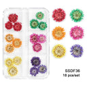 12/18Pcs/box 3D Dried Flowers Nail Art Decorations Dry Floral Bloom Stickers DIY Manicure Charms Designs For Nails Accessories  ourlum.com SSDF36  