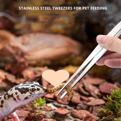 Stainless Steel Elbow Tweezers: Precision Tool for Pet Care, Electronics & More