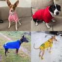 Winter Dog Hoodies: Fleece Sweatshirt for Small, Medium, Large Dogs  ourlum.com   