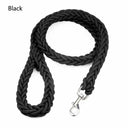 Nylon Dog Harness Leash for Medium Large Dogs Walking Hiking