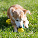 Interactive Rubber Dog Chew Toy for Dental Health Relief