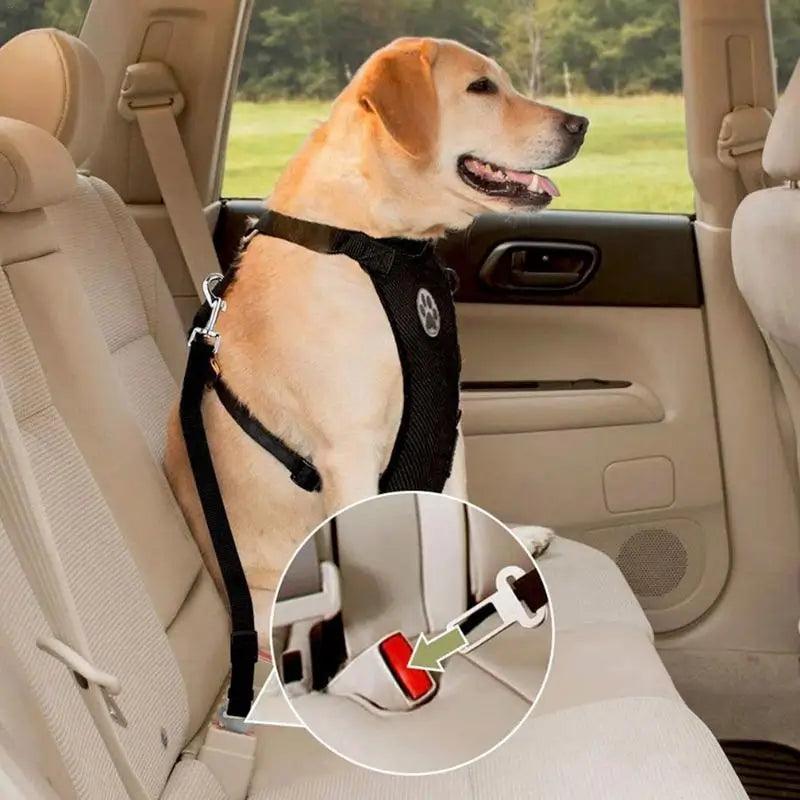Breathable Mesh Dog Harness Set with Car Safety Belt | Adjustable Straps & Chest Strap for Pet Safety  ourlum.com   