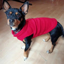 Cozy Fleece Pet Vest with D-Ring for Small Dogs and Cats  ourlum.com   