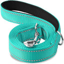 Reflective Night Dog Leash: Enhance Visibility and Safety  ourlum.com cyan 2.5x120cm 