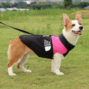 Waterproof Dog Winter Jacket for Small to Big Dogs  ourlum   