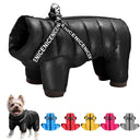 Winter Dog Jacket Coat: Super Warm Waterproof Pet Clothing for French Bulldog  ourlum.com   