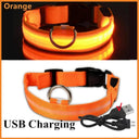 LED Light Up Dog Collar: Customizable Night Safety, Waterproof, Multiple Flash Modes  ourlum.com Orange USB Charging XS Neck 28-38 CM United State