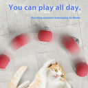 Interactive Cat Toys Ball Auto Electric Rolling Ball Toys