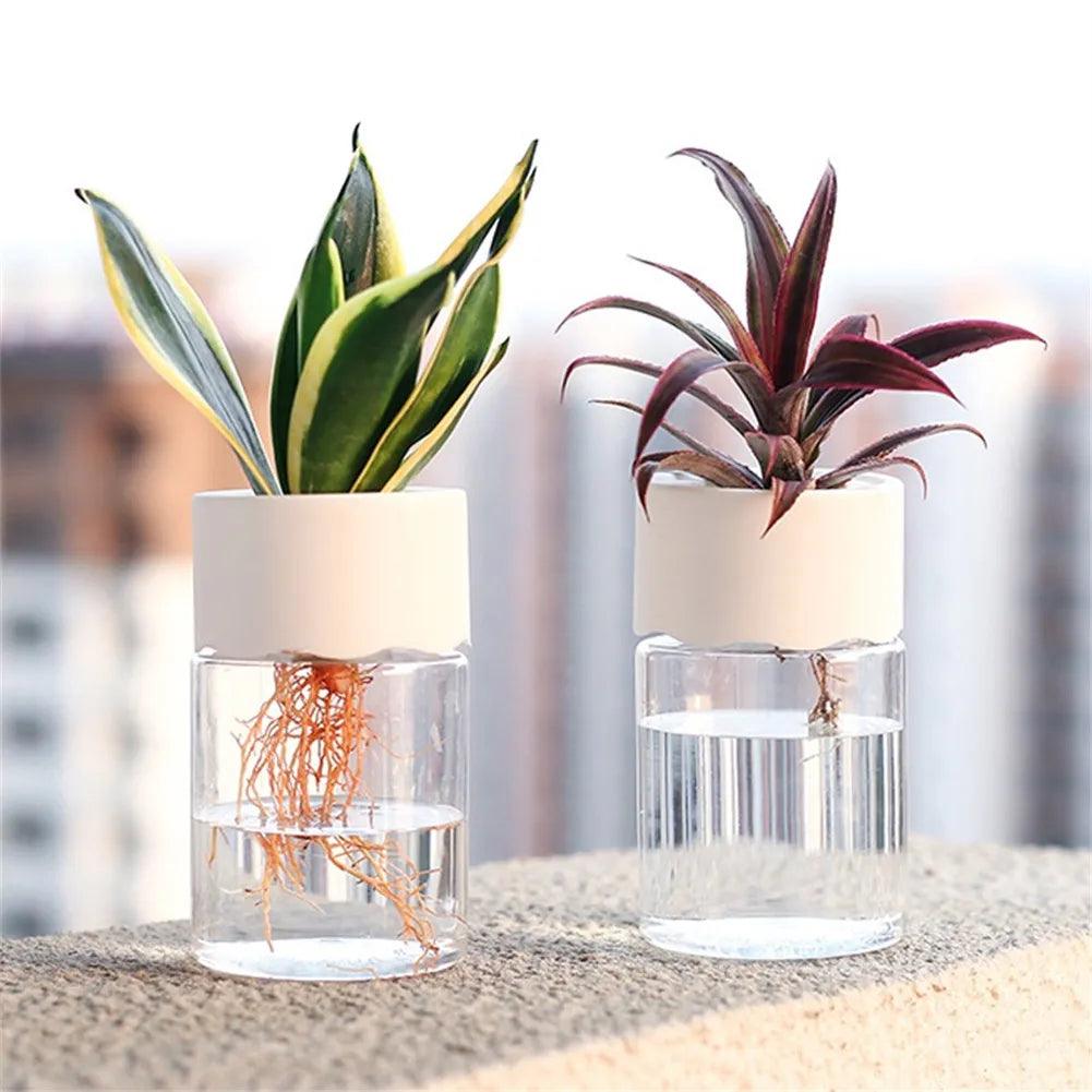 Hydroponic Glass Flower Pot: Modern Decor for Green Plants  ourlum.com Default Title  