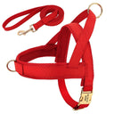 Leather Dog Collar Harness Leash Set: Personalized Stylish Vest for Dogs  ourlum.com Red Set XS 