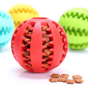 Interactive Rubber Dog Toy: Teeth Cleaning Chew Ball Fun