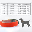 LED Glow Safety Dog Collar: Adjustable Flashing Necklace for Dogs and Cats  ourlum.com   