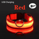 LED Dog Collar: Safety Night Light Flashing Necklace for Pet Visibility  ourlum Red USB Charging XS NECK 28-38 CM 