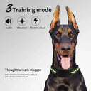 Dog Anti-Bark Collar: Effective Training with Adjustable Sensitivity  ourlum.com   