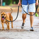 Reflective Night Dog Leash: Enhance Visibility and Safety  ourlum.com   