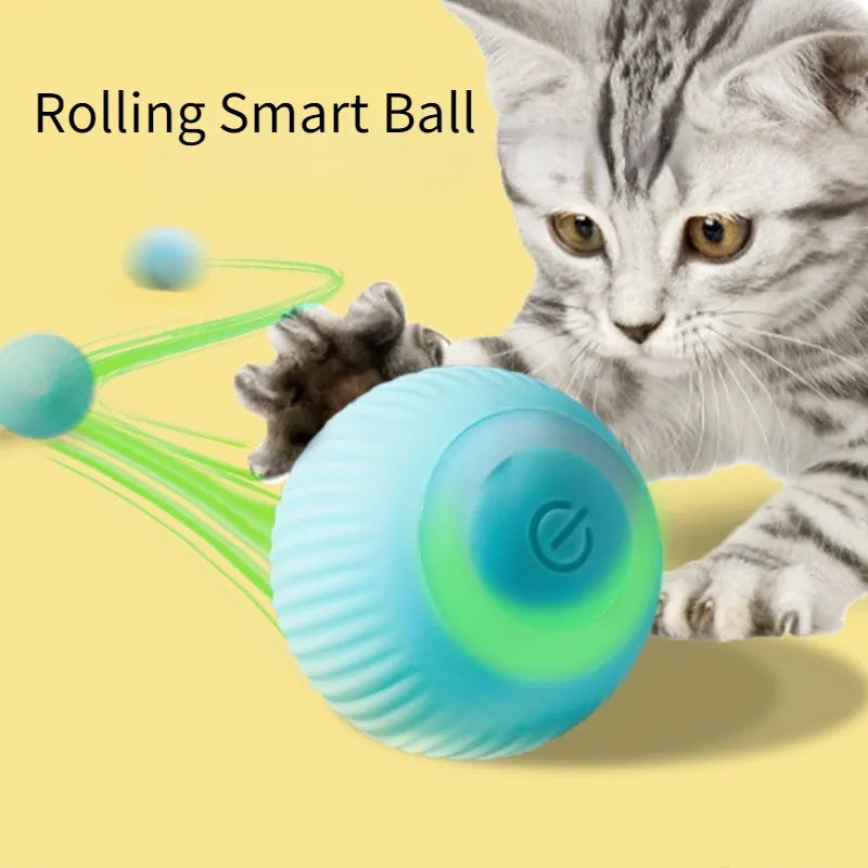 Electric Rolling Ball Cat Toy for Interactive Indoor Play  ourlum.com   