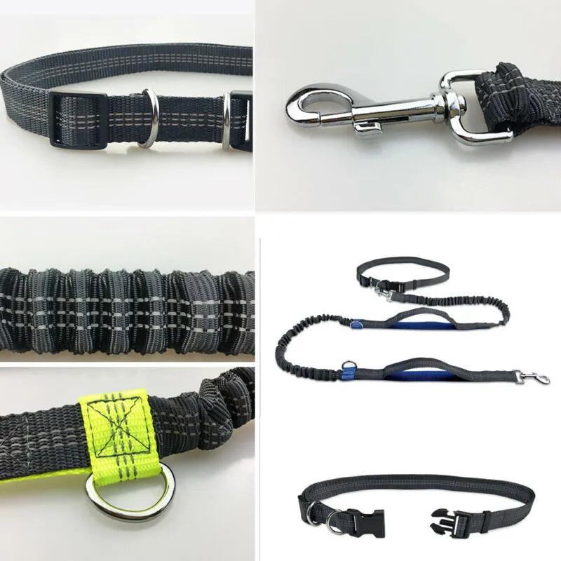 Reflective Hands-Free Dog Leash with D-Ring Metal Harness  ourlum.com   