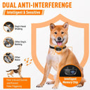 ABQP Anti Barking Training Collar: Advanced Vibration Dog Stop Waterproof  ourlum.com   