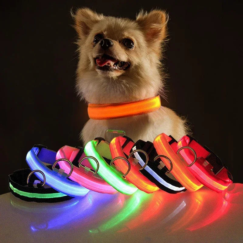 LED Dog Collar: Safety Night Light Flashing Necklace for Pet Visibility