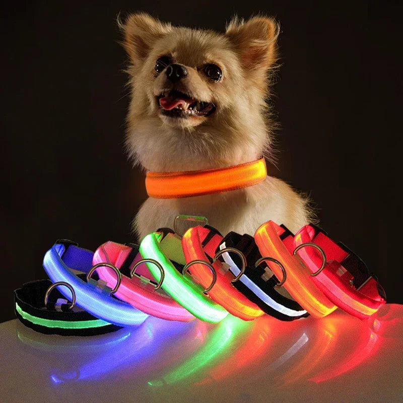 LED Dog Collar: Safety Night Light Flashing Necklace, Pet Supplies  ourlum.com   