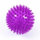 Small Dog Interactive Hedgehog Ball Toy for Teeth Cleaning