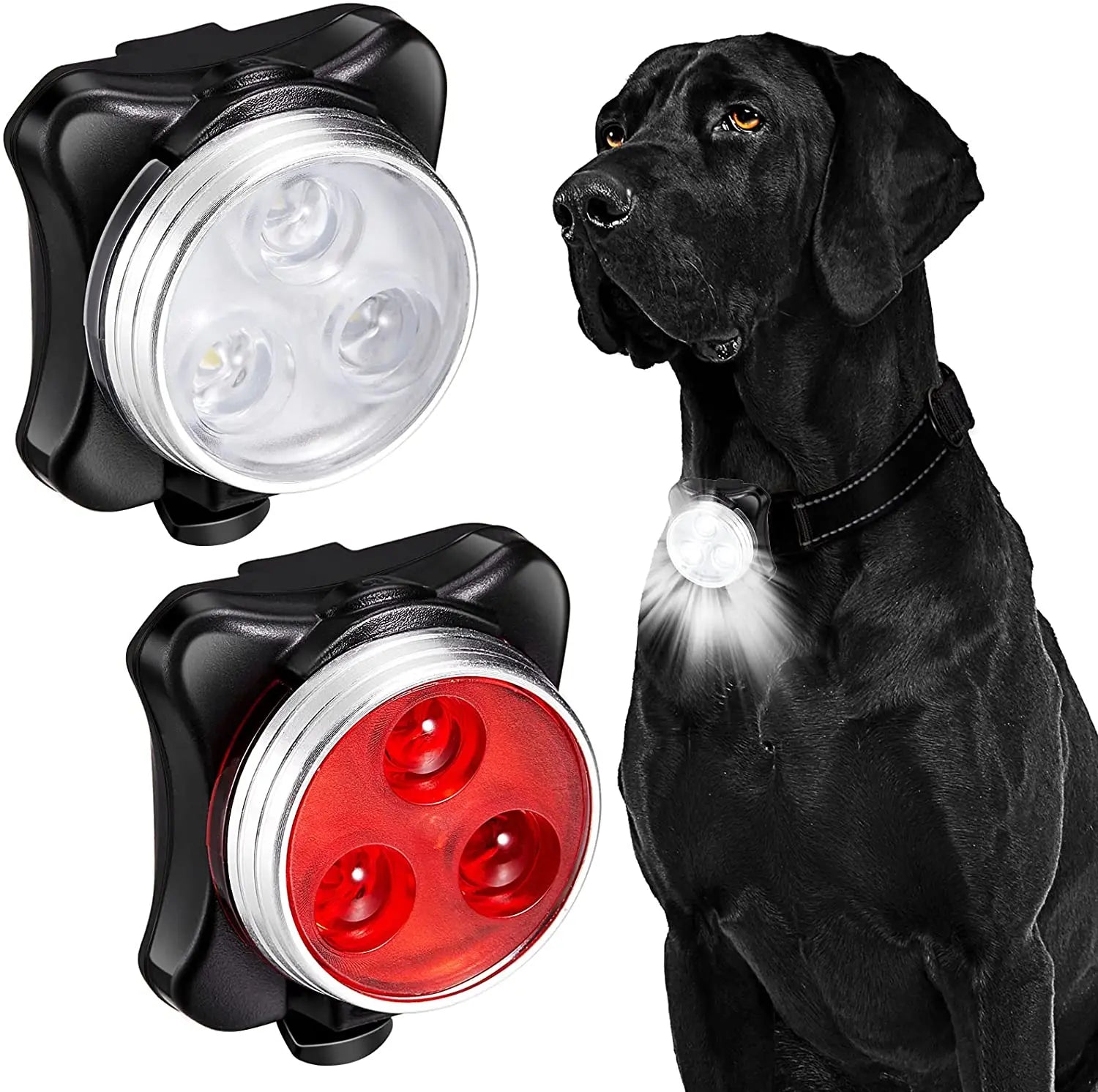 LED Dog Collar Safety Lights: Illuminate Night Adventures  ourlum.com   