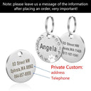 Personalized Stainless Steel Pet ID Tag for Dogs and Cats  ourlum.com N  