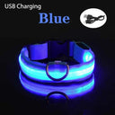 LED Dog Collar: Safety Night Light Flashing Necklace for Pet Visibility  ourlum Blue USB Charging XS NECK 28-38 CM 