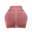 High Waist Women’s Yoga Shorts Seamless Fitness Shorts