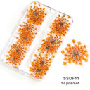 12/18Pcs/box 3D Dried Flowers Nail Art Decorations Dry Floral Bloom Stickers DIY Manicure Charms Designs For Nails Accessories  ourlum.com SSDF11  