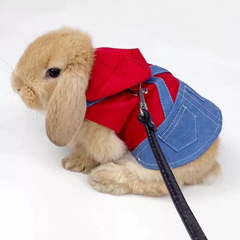 Cute Bunny Outdoor Harness & Leash Set for Rabbit Dress  ourlum.com   