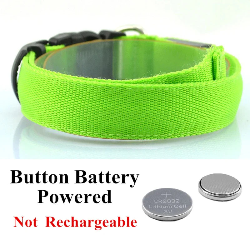 LED Glow Safety Dog Collar: Adjustable Flashing Necklace for Dogs and Cats  ourlum.com   