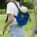 Breathable Pet Carrier Bag for Outdoor Adventures Stylish Safe