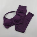 Seamless High-Elastic Yoga Set for Women 2 Piece Sportswear