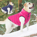 Winter Dog Jacket: Reversible Thick Coat for Small Medium Large Dogs  ourlum.com   