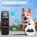 TinMiu Remote Control Waterproof Dog Training Collar - Effective Training  ourlum.com   