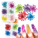 12/18Pcs/box 3D Dried Flowers Nail Art Decorations Dry Floral Bloom Stickers DIY Manicure Charms Designs For Nails Accessories  ourlum.com   