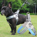 Adjustable Reflective Mesh Dog Harness Vest for French Bulldog Walk Training  ourlum.com   