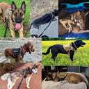 German Shepherd Training Harness & Leash Set for All Dog Breeds  ourlum.com   