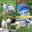 Adjustable Mesh Vest Dog Harness with Leash for Safety and Comfort in XS/S/M/L/XL Sizes  ourlum.com   