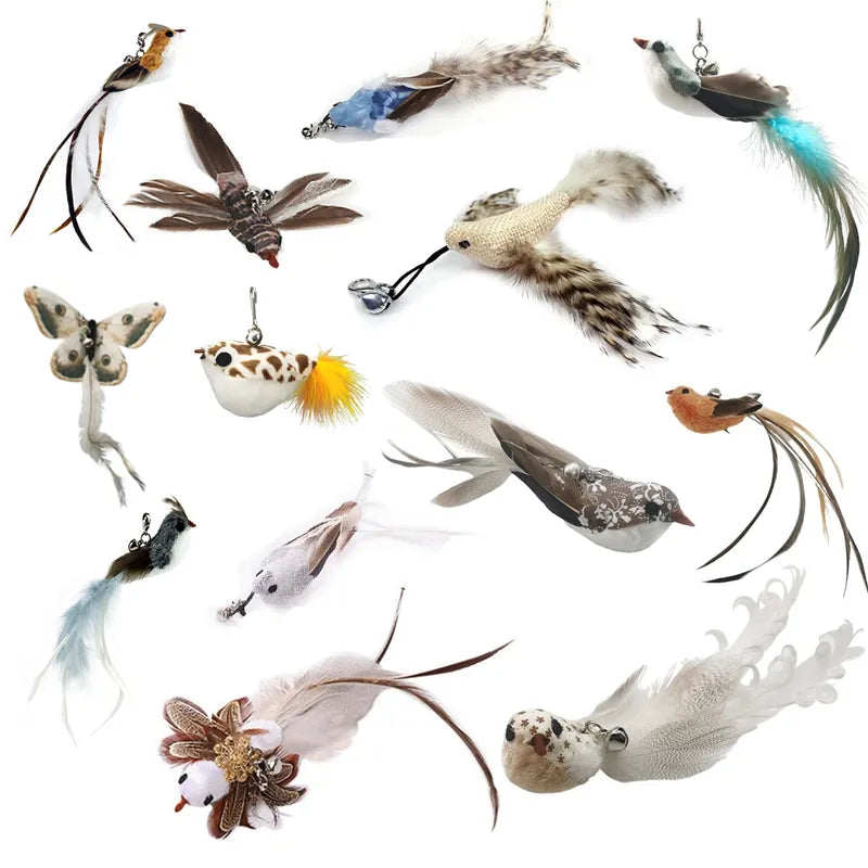 Interactive Bird & Feather Cat Wand with Bell and Suction Cup Toy  ourlum.com   