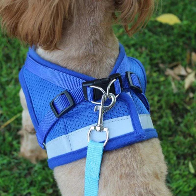 Adjustable Mesh Vest Dog Harness with Leash for Safety and Comfort in XS/S/M/L/XL Sizes  ourlum.com   
